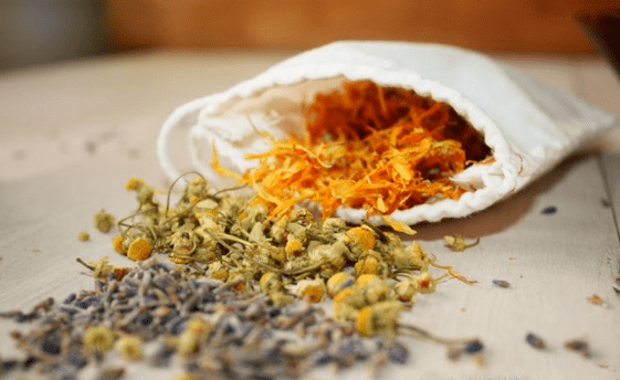 herbs for worms in adults